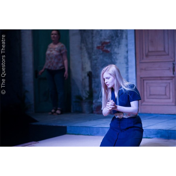 2024 medea 13